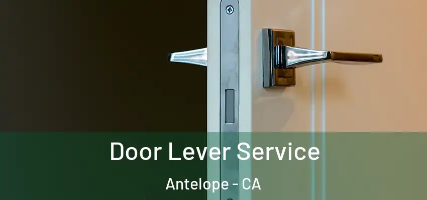  Door Lever Service Antelope - CA