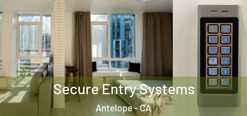  Secure Entry Systems Antelope - CA